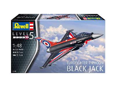 Eurofighter Typhoon „Black Jack“ - image 7