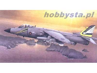 BAe Sea Harrier FRS-1 - image 1