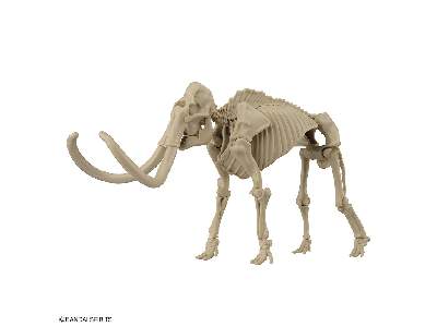 Exploring Lab Nature Mammoth - image 4