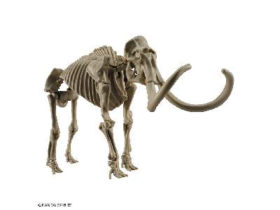 Exploring Lab Nature Mammoth - image 6