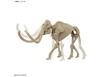 Exploring Lab Nature Mammoth - image 7