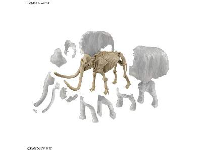Exploring Lab Nature Mammoth - image 8