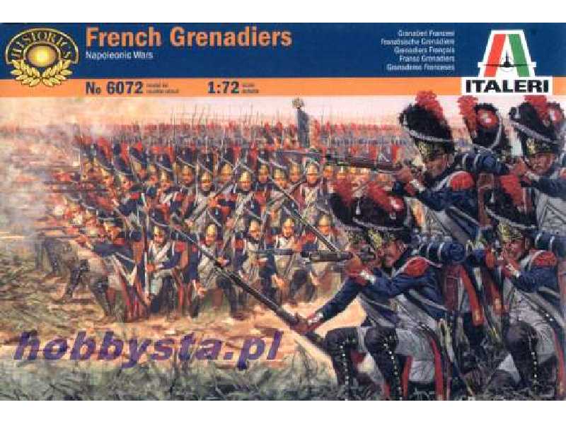 Figures - French Grenadiers - Napoleonic Wars - image 1