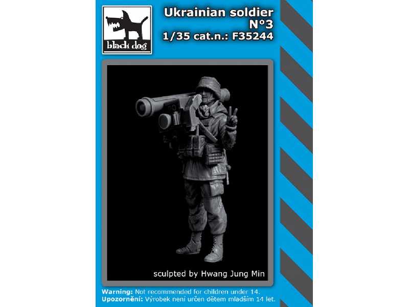 Ukrainian Soldier N3 - image 1