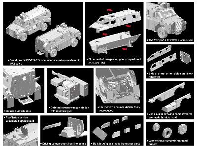 NATO/ISAF Bushmaster - image 2