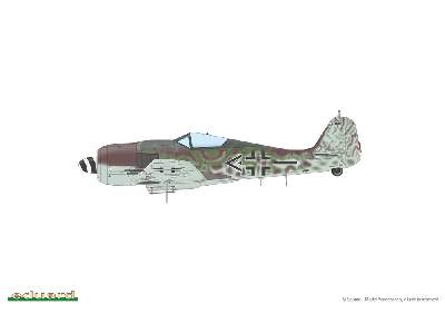 Fw 190A-8 1/48 - image 6