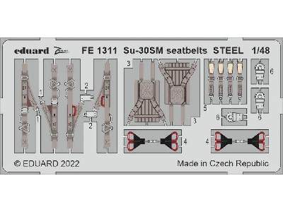 Su-30SM seatbelts STEEL 1/48 - GREAT WALL HOBBY - image 1