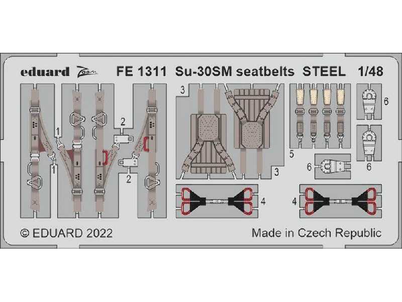Su-30SM seatbelts STEEL 1/48 - GREAT WALL HOBBY - image 1