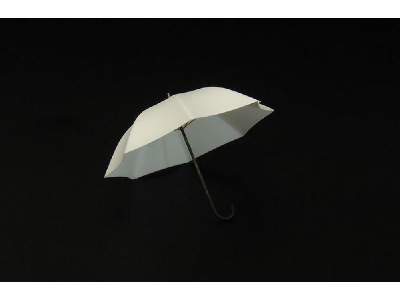 Umbrella (2pcs) - image 1