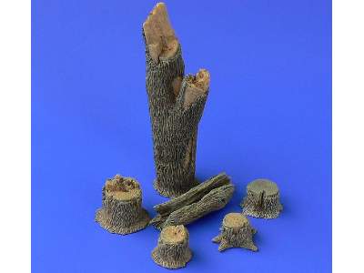 Tree Trunks And Stumps - image 1
