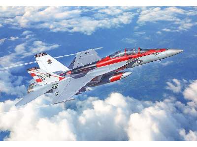 F/A-18F Super Hornet U.S. Navy Special Colors - image 1