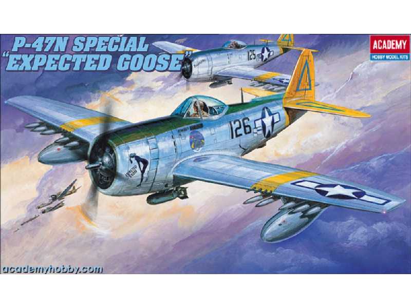P-47n Special - image 1