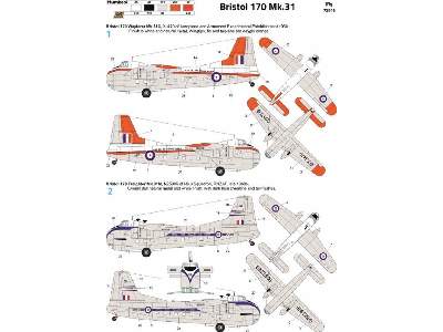 Bristol 170 Mk.31 - image 10