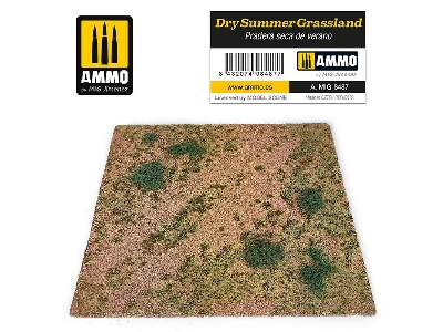 Dry Summer Grassland - image 1