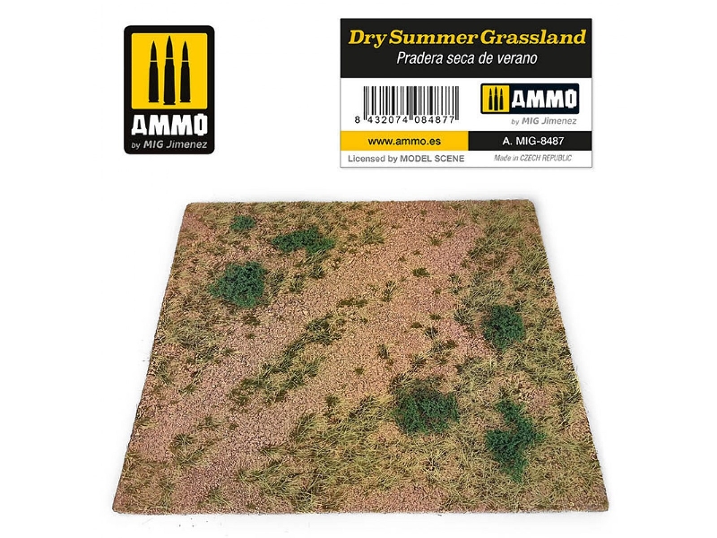 Dry Summer Grassland - image 1