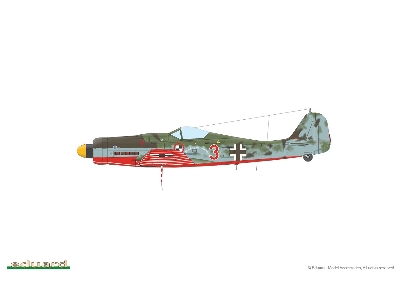 Fw 190D-9 1/48 - image 3