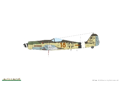 Fw 190D-9 1/48 - image 4