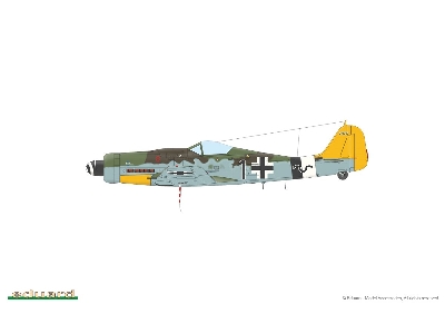 Fw 190D-9 1/48 - image 5