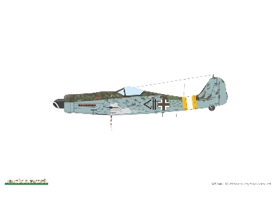 Fw 190D-9 1/48 - image 6