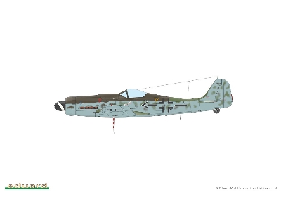 Fw 190D-9 1/48 - image 7