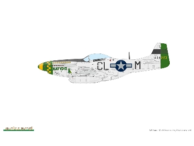 P-51D-10 Mustang 1/48 - image 3