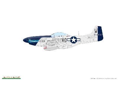 P-51D-10 Mustang 1/48 - image 5
