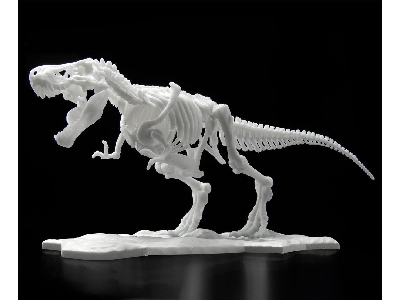 Dinosaur Model Kit Limex Skeleton - Tyrannosaurus - image 4