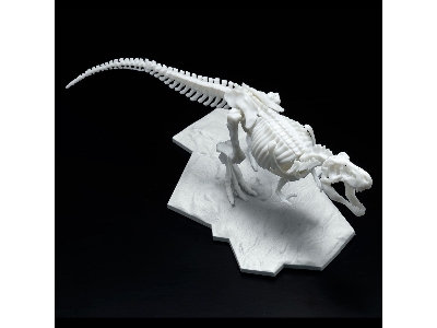 Dinosaur Model Kit Limex Skeleton - Tyrannosaurus - image 5