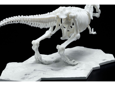 Dinosaur Model Kit Limex Skeleton - Tyrannosaurus - image 6