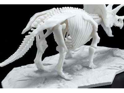 Dinosaur Model Kit Limex Skeleton - Triceratops - image 5
