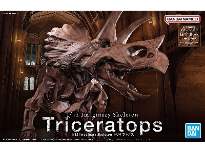 Imaginary Skeleton Triceratops - image 1