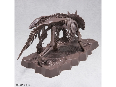 Imaginary Skeleton Triceratops - image 4