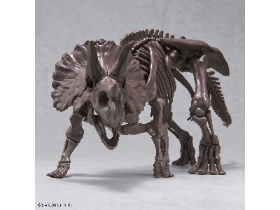 Imaginary Skeleton Triceratops - image 6
