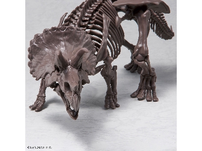 Imaginary Skeleton Triceratops - image 7