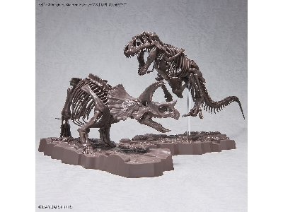 Imaginary Skeleton Triceratops - image 8