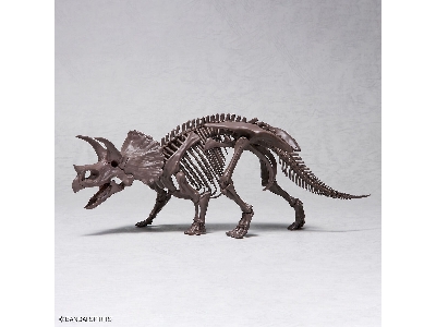 Imaginary Skeleton Triceratops - image 9