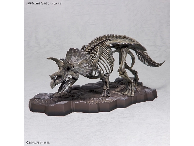 Imaginary Skeleton Triceratops - image 10