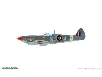 Spitfire Mk. VIII 1/48 - image 3