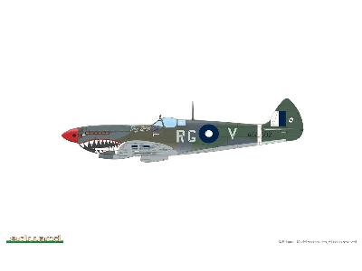 Spitfire Mk. VIII 1/48 - image 6