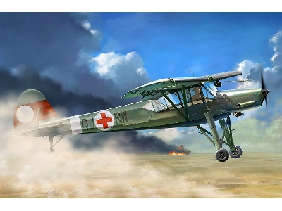 Fieseler Fi-156 D-1 Storch - image 1