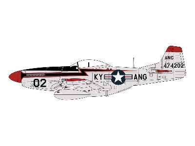 North American F-51D Mustang - image 2