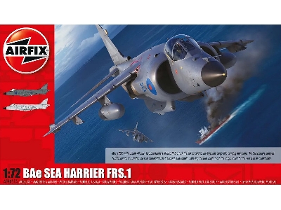 BAe Sea Harrier FRS.1 - image 1