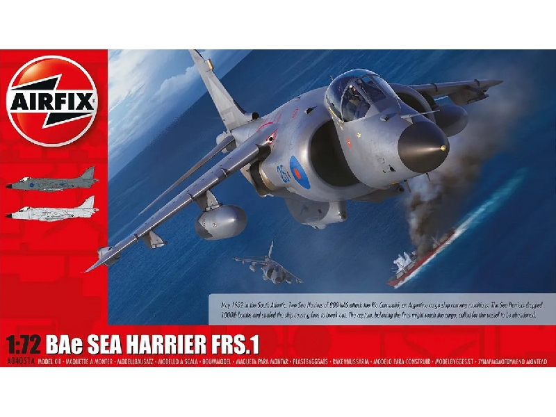 BAe Sea Harrier FRS.1 - image 1