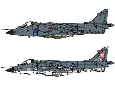 BAe Sea Harrier FRS.1 - image 2