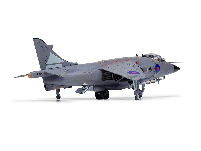 BAe Sea Harrier FRS.1 - image 4