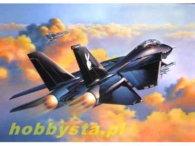 F-14A Black Tomcat - image 1