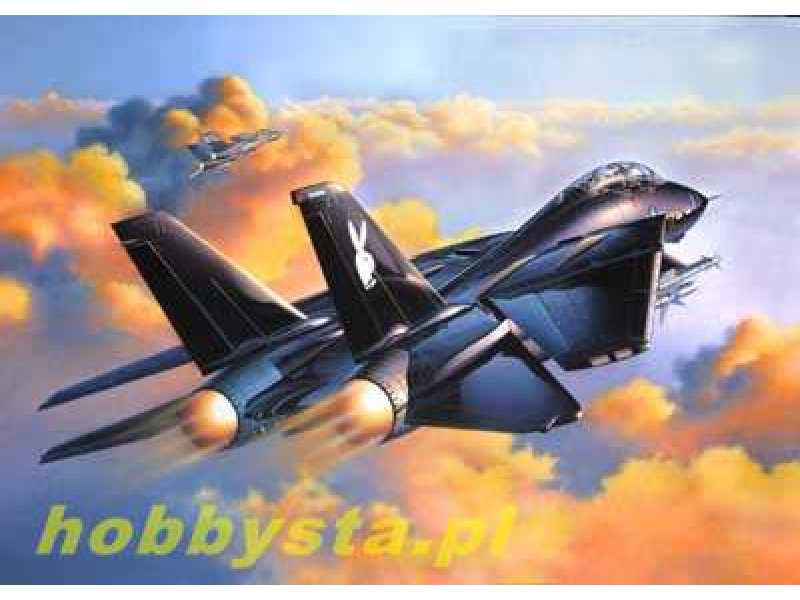 F-14A Black Tomcat - image 1