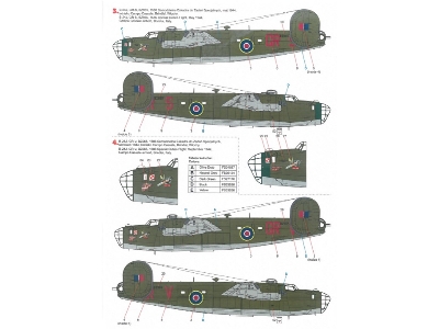 B-24 Liberator - image 5