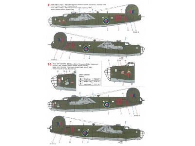 B-24 Liberator - image 9