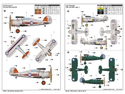 Gloster Gladiator Mk1 - image 4